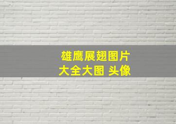 雄鹰展翅图片大全大图 头像